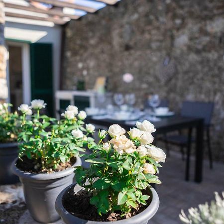 Appartamento Gardenhouse Sarzana Esterno foto