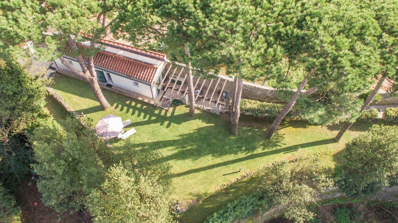 Appartamento Gardenhouse Sarzana Esterno foto