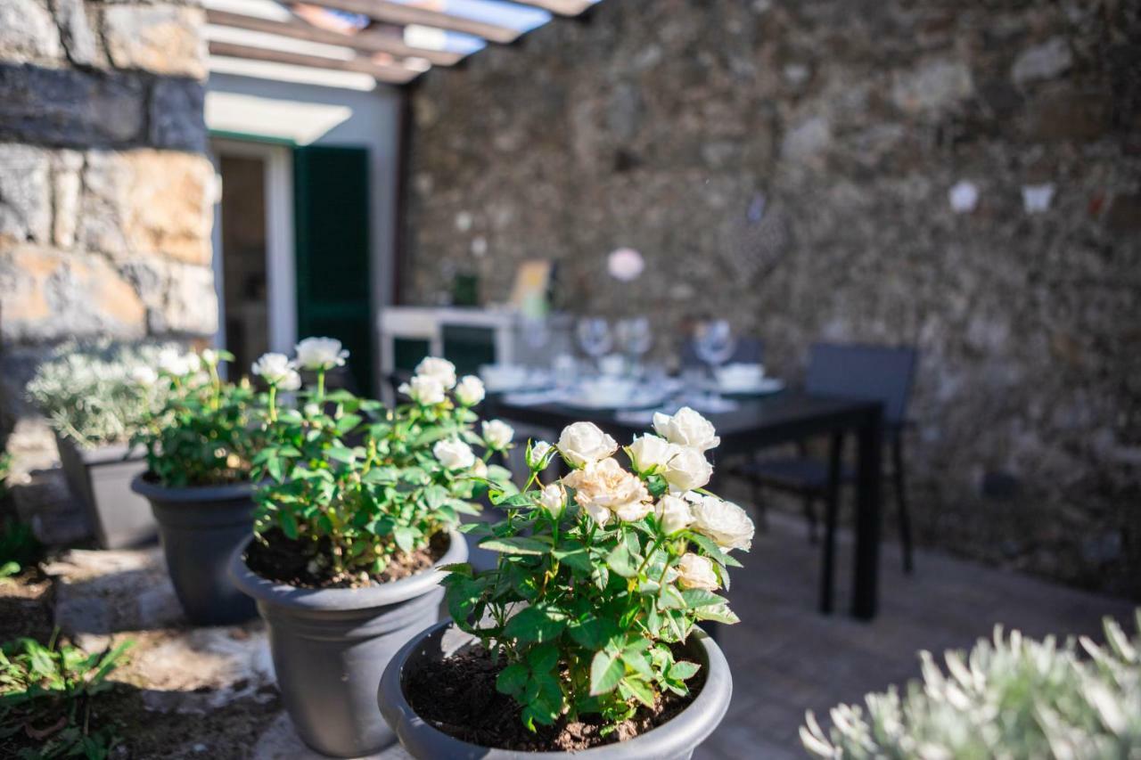 Appartamento Gardenhouse Sarzana Esterno foto
